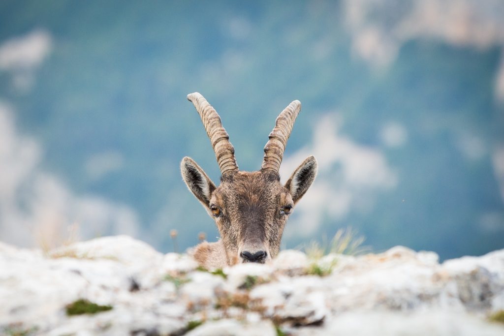 La Rencontre