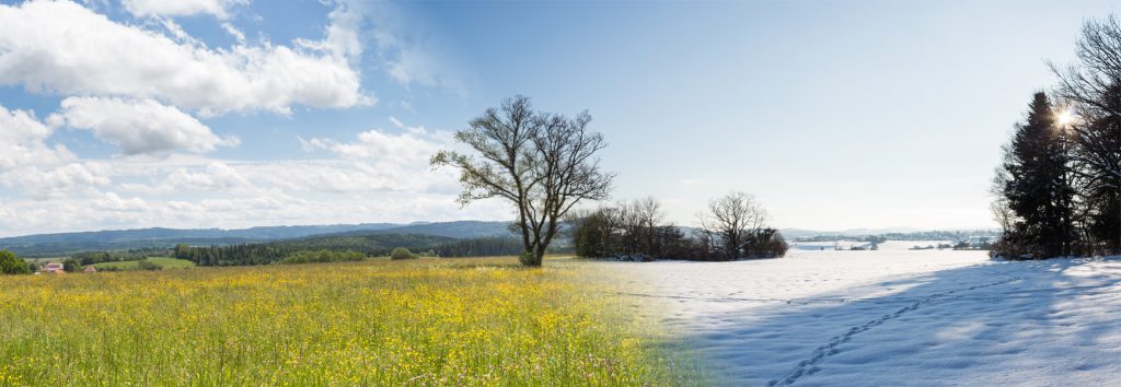 Spring VS. Winter