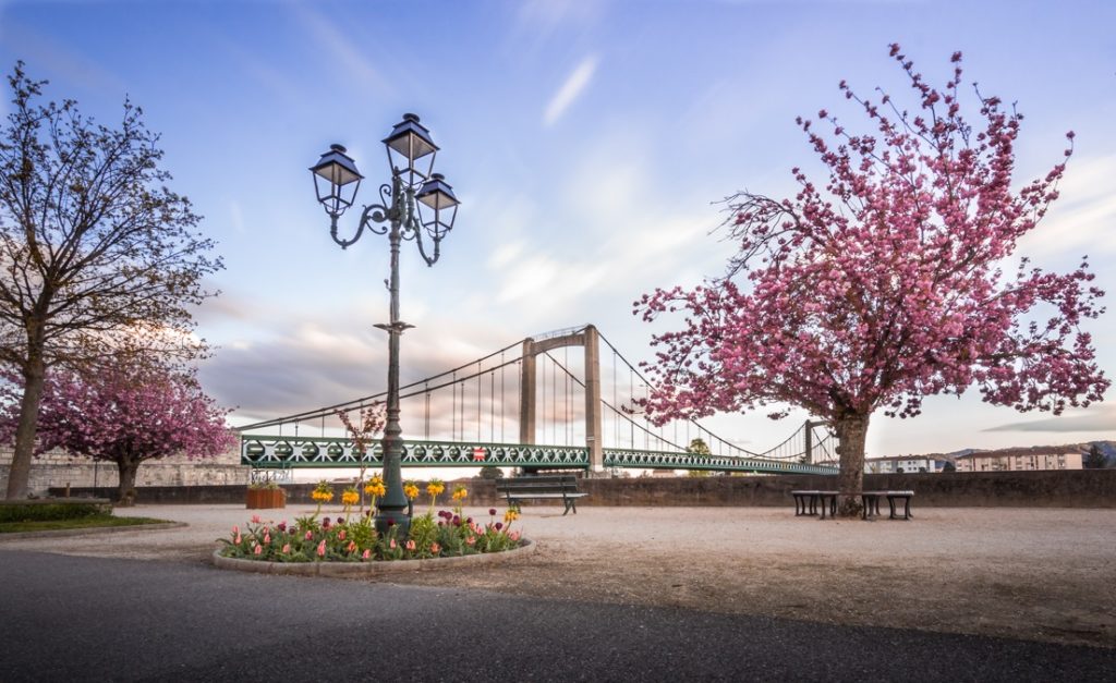 Début de printemps à Tain l'Hermitage